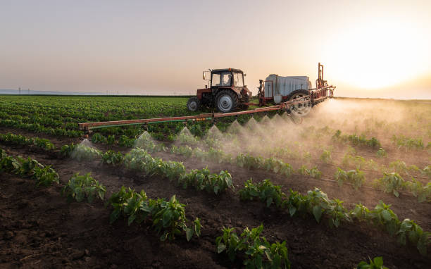 Best Commercial Pest Control Services  in Drew, MS