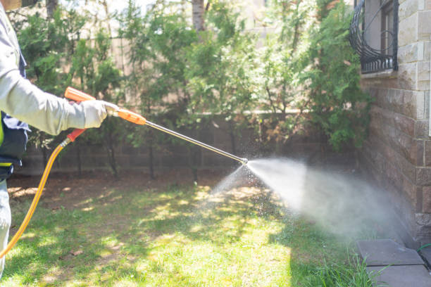 Best Mosquito Control Services  in Drew, MS