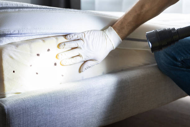 Best Emergency Pest Control  in Drew, MS