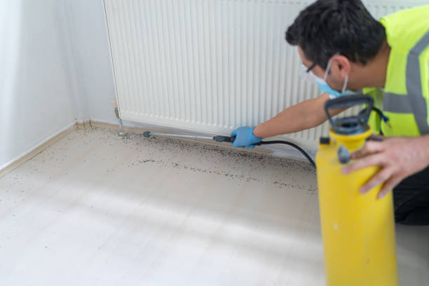 Best Commercial Pest Control Services  in Drew, MS